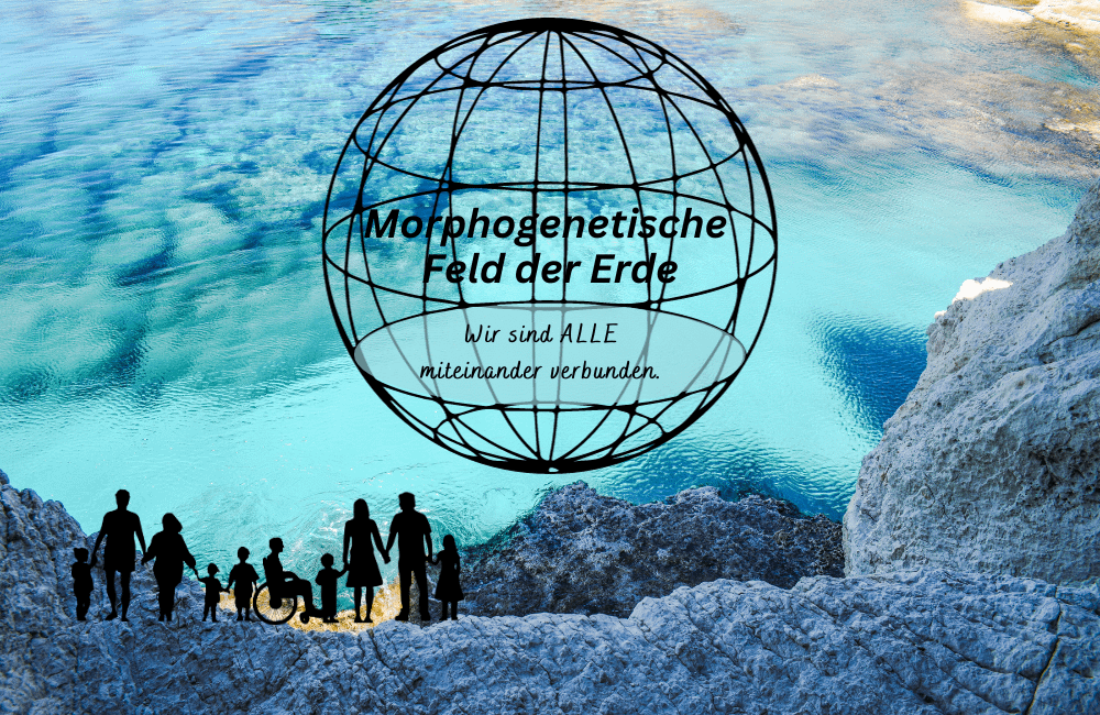 Morphogenetische Felder