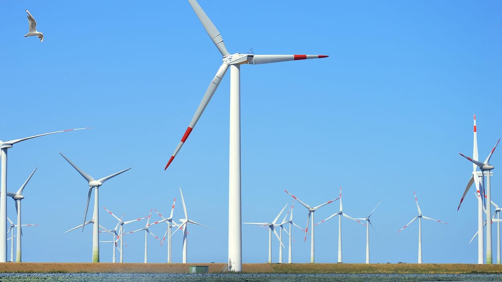 Partner im Energiemarkt