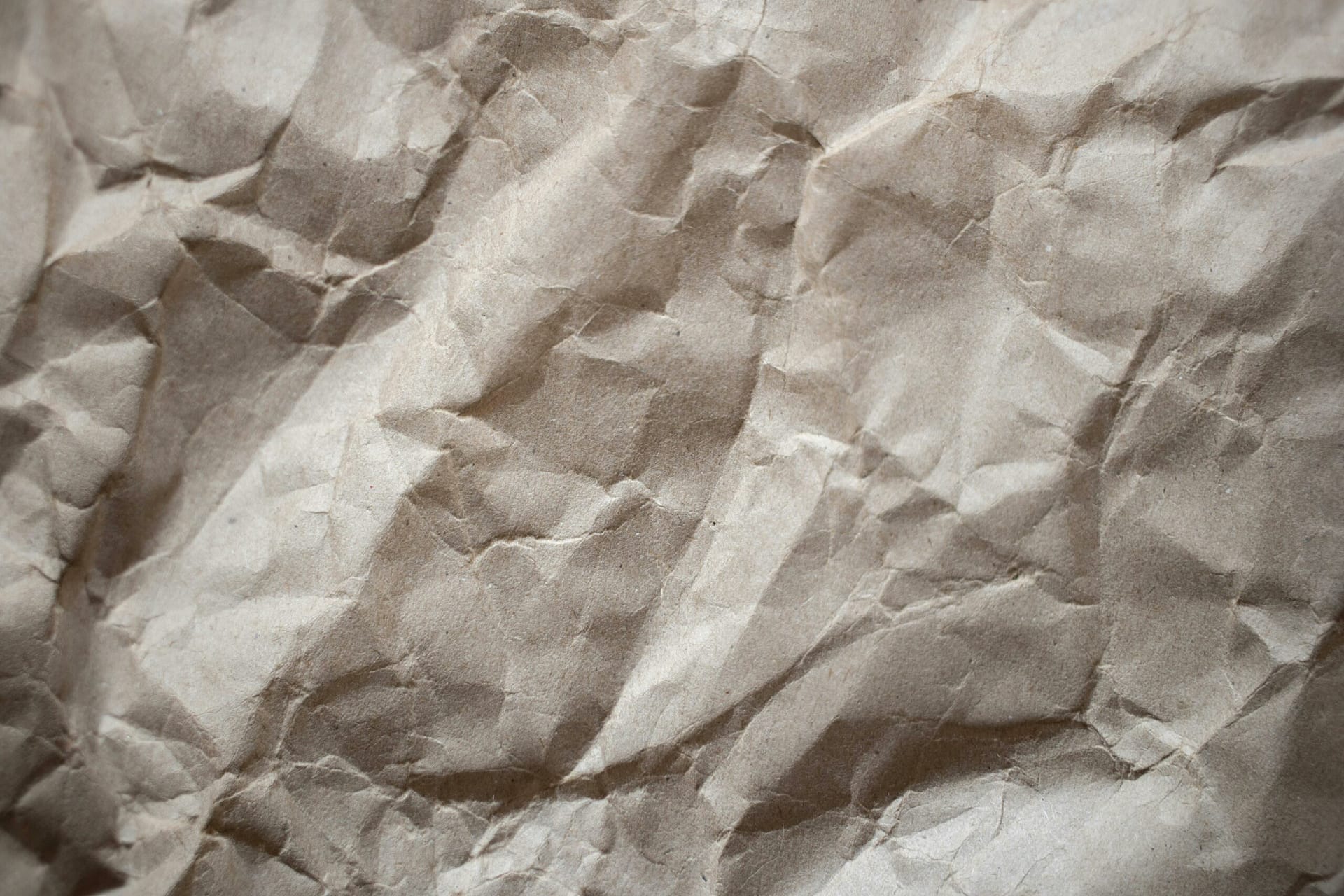 Kostenloses Stock Foto zu abstrakt, bilden, blatt